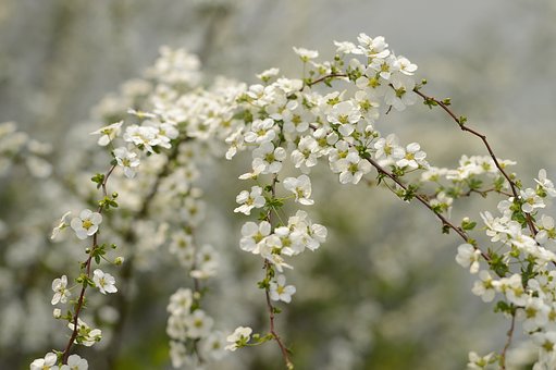 BiodynamicUK's tweet photo. Celebrating #SpringEquinox today &amp; sending out love to all our supporters,  farmers, gardeners and consumers making a difference through  #biodynamics. It is also #InternationalDayOfHappiness perfect for the #biodynamic restoration of our soils, vital food and human souls! https://t.co/5vApE3oPI5