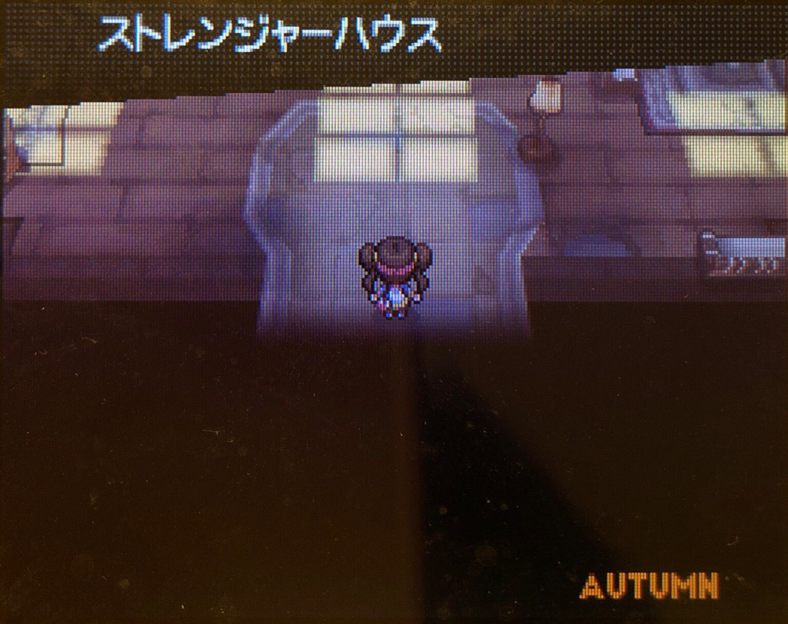 17 ストレンジャーハウスにて ピクミン マリオ ドラクエ Ff ポケモン日記
