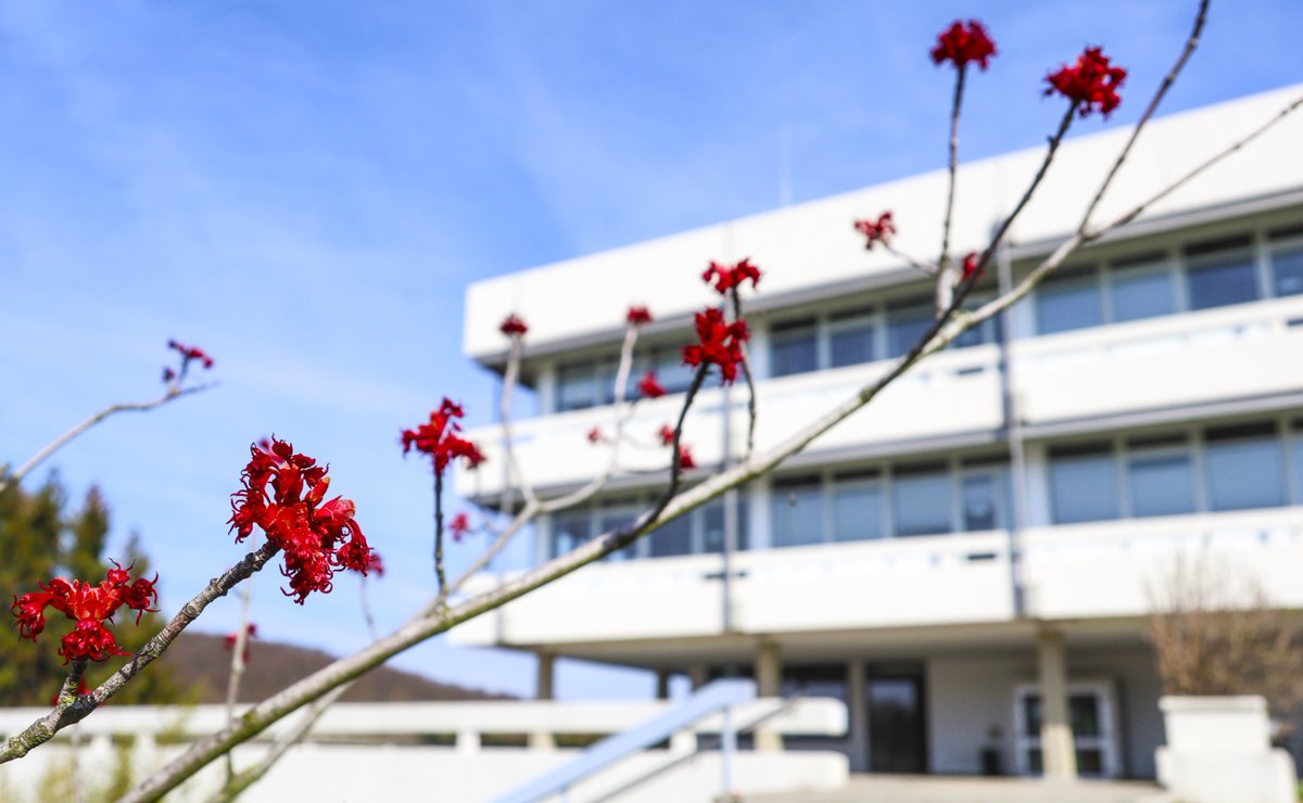 mpi_nat's tweet photo. 🌺 Sunny #firstdayofspring here at the #mpi_bpc in Göttingen. 🌱 #InternationalDayOfHappiness #Frühlingsanfang https://t.co/QFRO7uJrOa