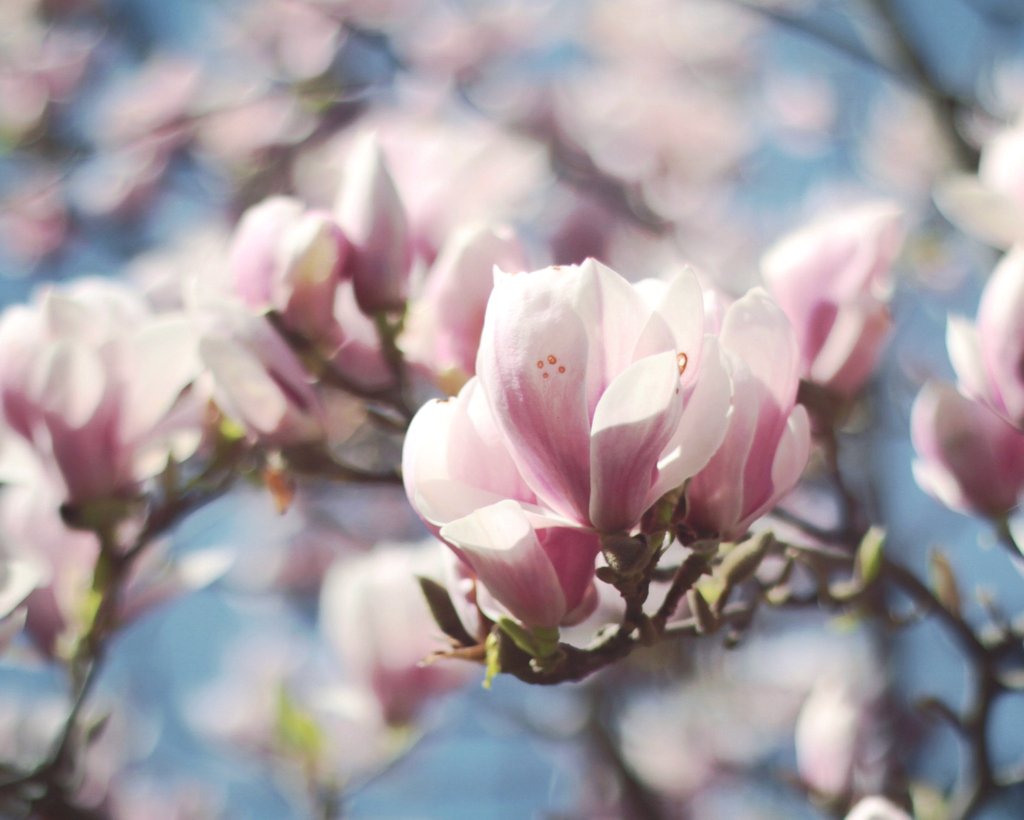 Kula_UK's tweet photo. Happy #SpringEquinox! May our smiles #Blossom into laughter this season! 🌸💙🌈 #London #OxfordStreet #MidweekMotivation https://t.co/0uryMqmTt7