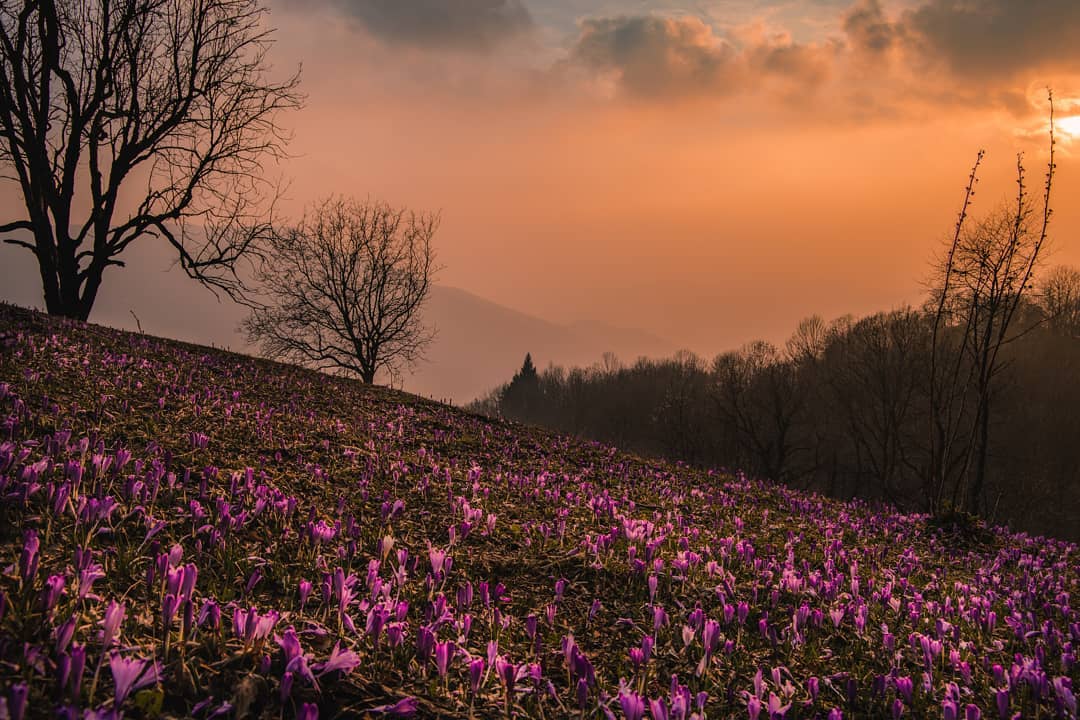 VisitFVG's tweet photo. "Poi un'altra giornata di luce
poi un altro di questi tramonti...
Ma il cielo è tutto rosso
di nuvole barocche" De Andrè
#Attimis #FVGlive #slowFVG
Ph. (IG) 📸 @loves_united_friuli @sandro_olivo https://t.co/JBLOm2Oc9r