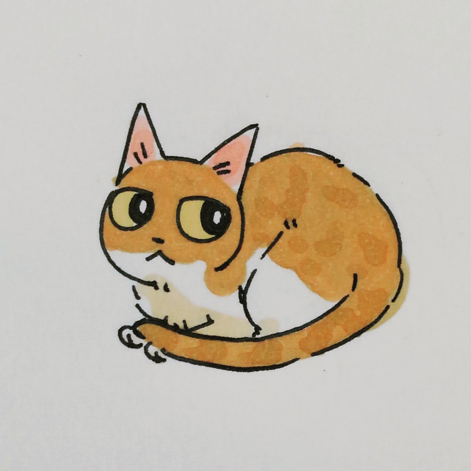 Iosuke Iosuke1 Twitter