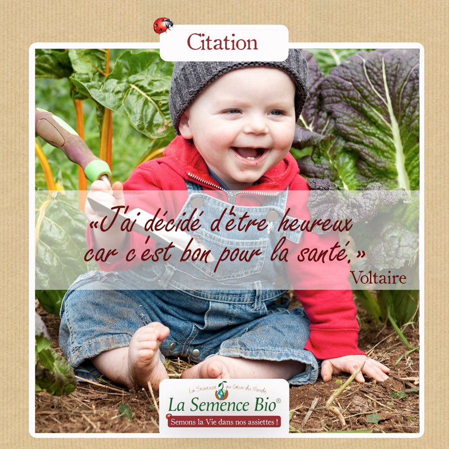 La Semence Bio Journeemondialedubonheur Fetons La Journee Du Bonheur Avec L Arrivee Du Printemps Saison Du Renouveau Et De L Eveil De La Nature Qu Elle Vous Apporte Lumiere Paix