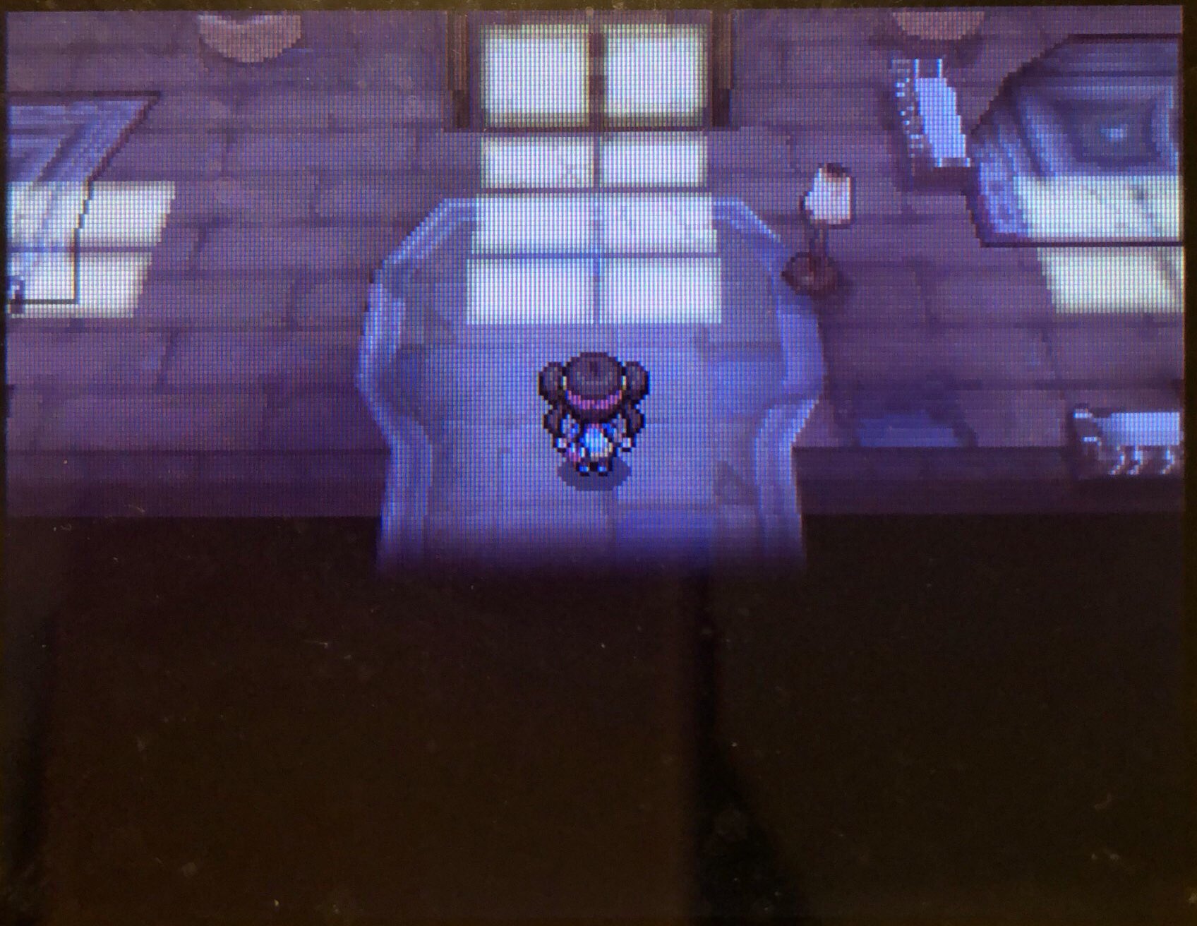 17 ストレンジャーハウスにて ピクミン マリオ ドラクエ Ff ポケモン日記