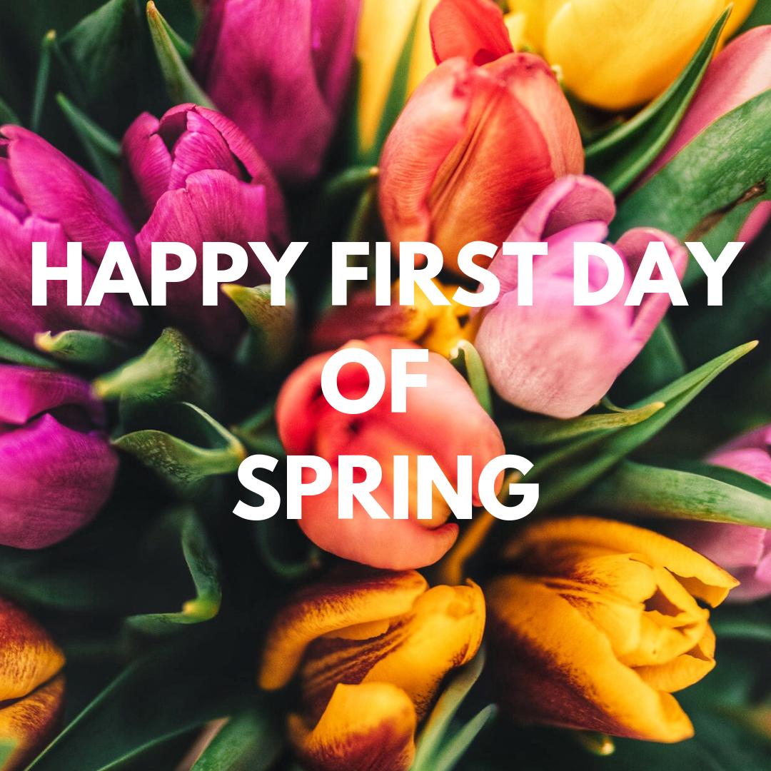 tt2travel's tweet photo. Happy First Day of SPRING!!!!! It's so nice to see your sunny face!   #spring #SpringTime #sunshine #Tulips https://t.co/oFhnLG48Qx