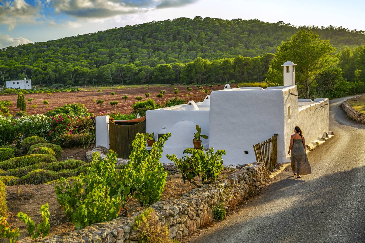 pacha's tweet photo. Welcoming spring in the whitle isle like 🍃

#flowerpower

via @el_pais https://t.co/rKETUdRnn7