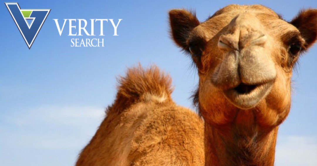 VeritySearch's tweet photo. CAN SOMEONE GUESS WHAT DAY IT IS?
info@veritysearch.com #humpday #Mortgagebanking #mortgage #mortgagerecruiter #mortgagelending #veritysearch #careerdevelopment #mortgagejobs #Careers #mortgage #loanofficer #pop https://t.co/VGSeqsO2RM