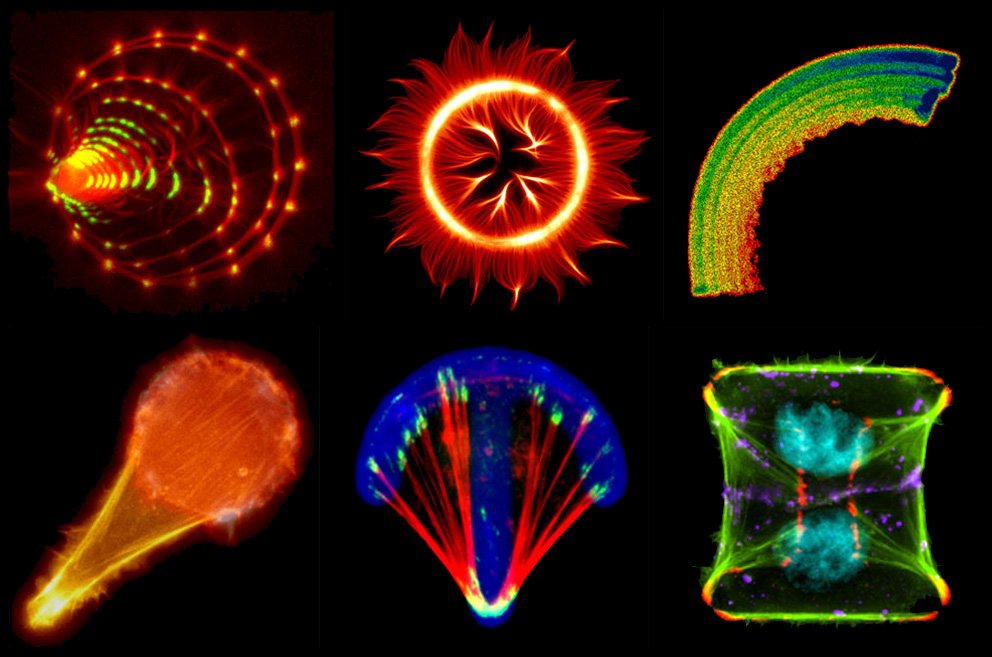 The CytoMorpho Lab is recruiting! 
2 fellowships for PhD students to work on actin dynamic steady-state and microtubule mechanics. As always in our lab, work will involve micro-engineering, living cells, reconstituted networks in vitro and a pinch of fun and crazyness.