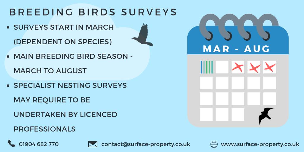 The breeding bird survey season is upon us. Make sure you don't miss the window and contact us today!