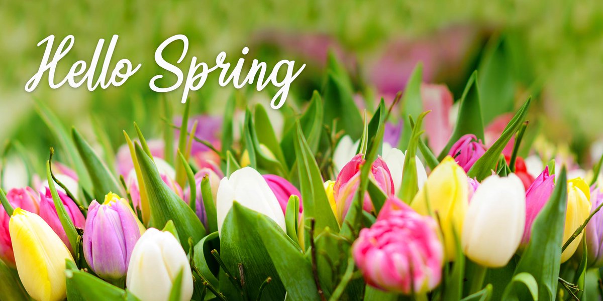 WWStay's tweet photo. Spring has sprung! Our team is excited to welcome this new season by continuing to work hard to provide you with the best technology, accommodation options, and service to meet all your stay needs. 
#spring #firstdayofspring https://t.co/2FGdjasMAT