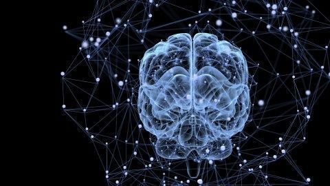 Focus Locus tweet media