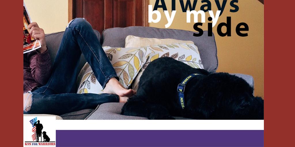 k9sforwarriors's tweet photo. Even when service dogs are not performing a task or command – they are providing love, comfort, and security. #K9sForWarriors #ServiceDogsWork https://t.co/lNZvsOzZcN