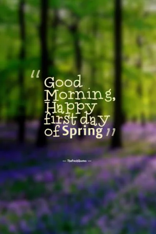 Image from INTEGRA Graphics (@INTEGRAGraphic)