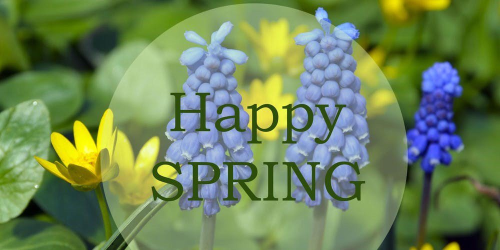 widewatersconst's tweet photo. #HappySpring #SpringEquinox https://t.co/zt1O4WWWO6
