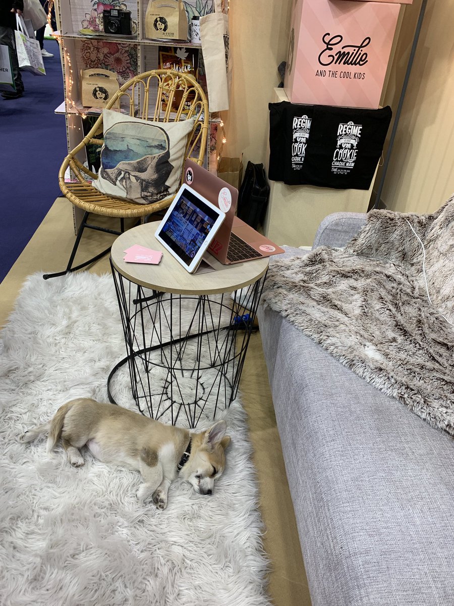 4 jours de <a href="/Franchise_Expo/">Franchise Expo Paris</a> plus de 50 contacts qualifiés, des projets potentiels jusqu’en Martinique ! On est crevées mais c’était cool