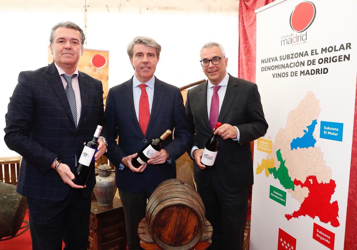 angelgarridog's tweet photo. 🍷 Ampliamos el territorio de nuestra D.O. Vinos de Madrid con la subzona de El Molar, dando respuesta a los productores de la zona y de los once municipios involucrados. El sector vinícola de Madrid es ya referente nacional e internacional. https://t.co/yxKQgp5Fsh