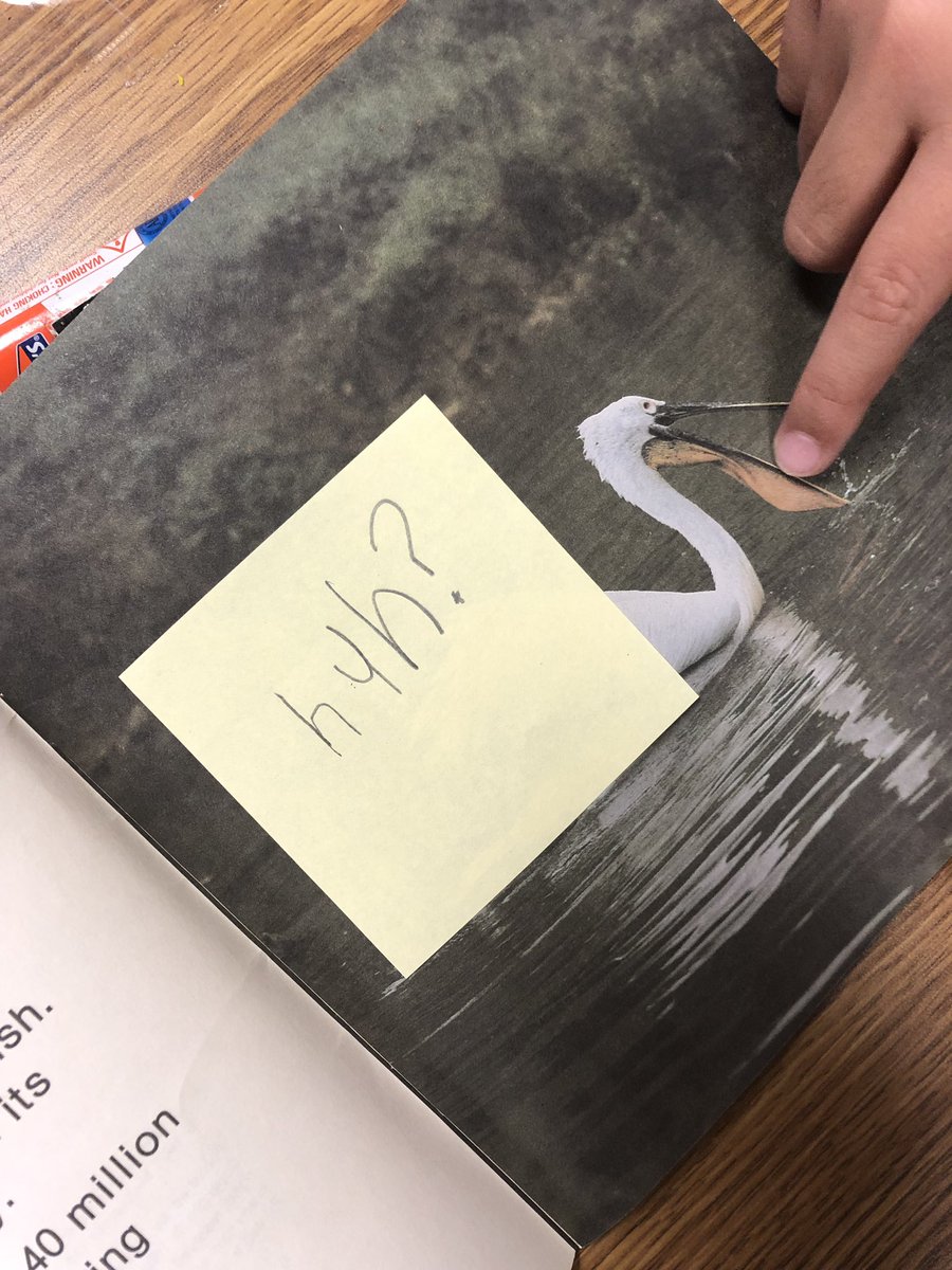 MissMerryfield's tweet photo. Wow! And Huh? @HatfieldElem @RachelLawsontx https://t.co/QzmV2JtQBe