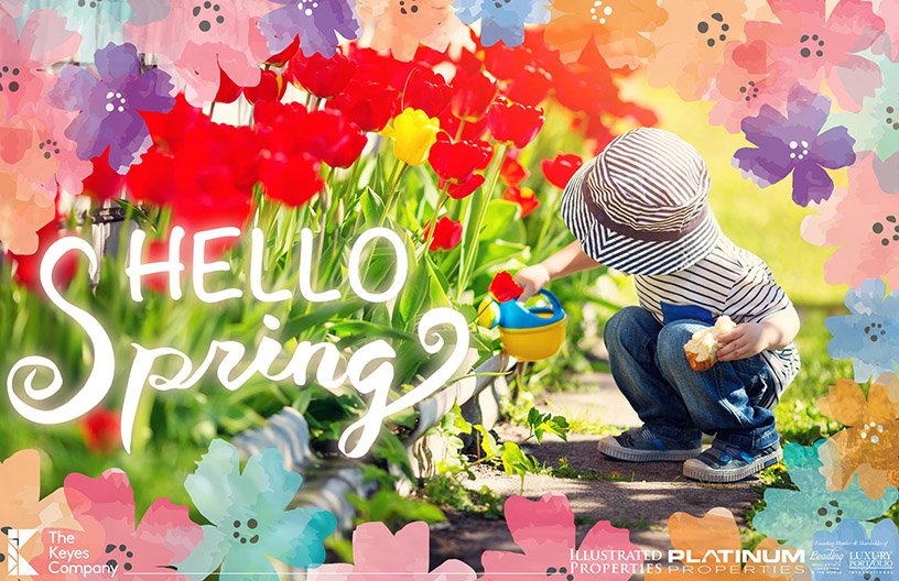 MiamiRealtorCat's tweet image. May the warm sun and beautiful flowers brighten up your days. Happy first day of Spring!