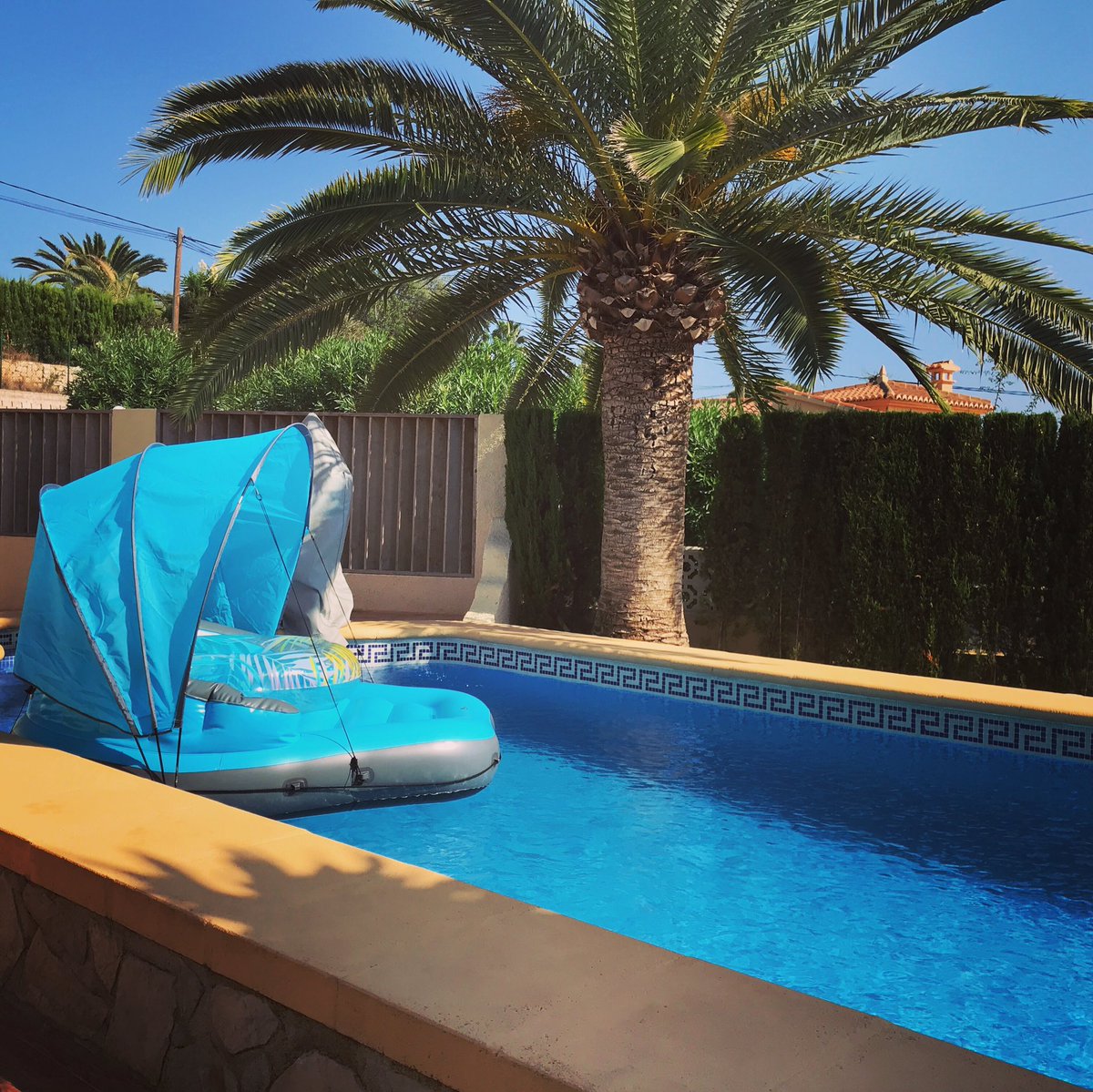 Wegens annulering weer beschikbaar!
Van 8 juni t/m 6 juli villalosleones.nl
#annulering #spanje #vakantiewoning#rolstoel