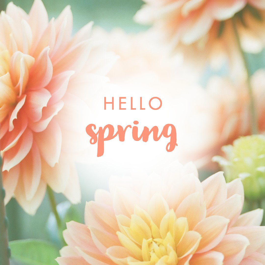 silvercloudharb's tweet photo. We couldn't be more excited for the arrival of #spring! Who else is ready for warmer weather and boat days? https://t.co/Eq0BUW2UtX
