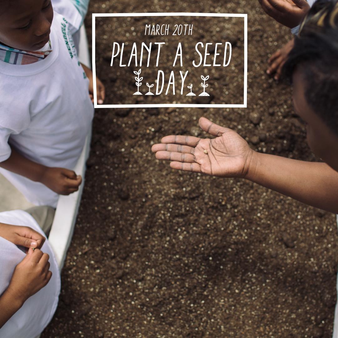 Happy first day of spring and happy #plantaseedday! Stop by any of our stores in the #Detroit area to pick up cucumber seeds. Join us with  <a href="/Kimbal/">𝙺𝚒𝚖𝚋𝚊𝚕 𝙼𝚞𝚜𝚔 🤠</a> and <a href="/BigGreen/">Big Green</a> to support the power of growing healthy, real food.