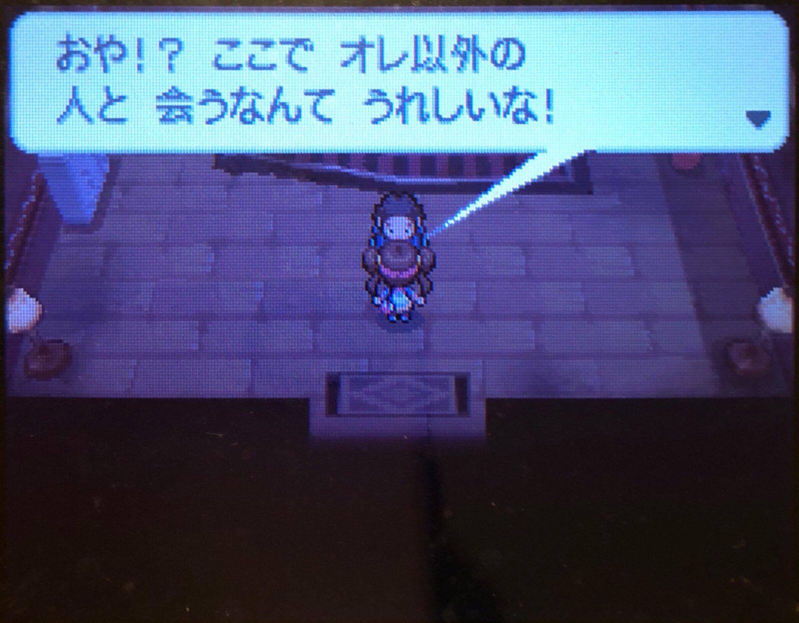 17 ストレンジャーハウスにて ピクミン マリオ ドラクエ Ff ポケモン日記