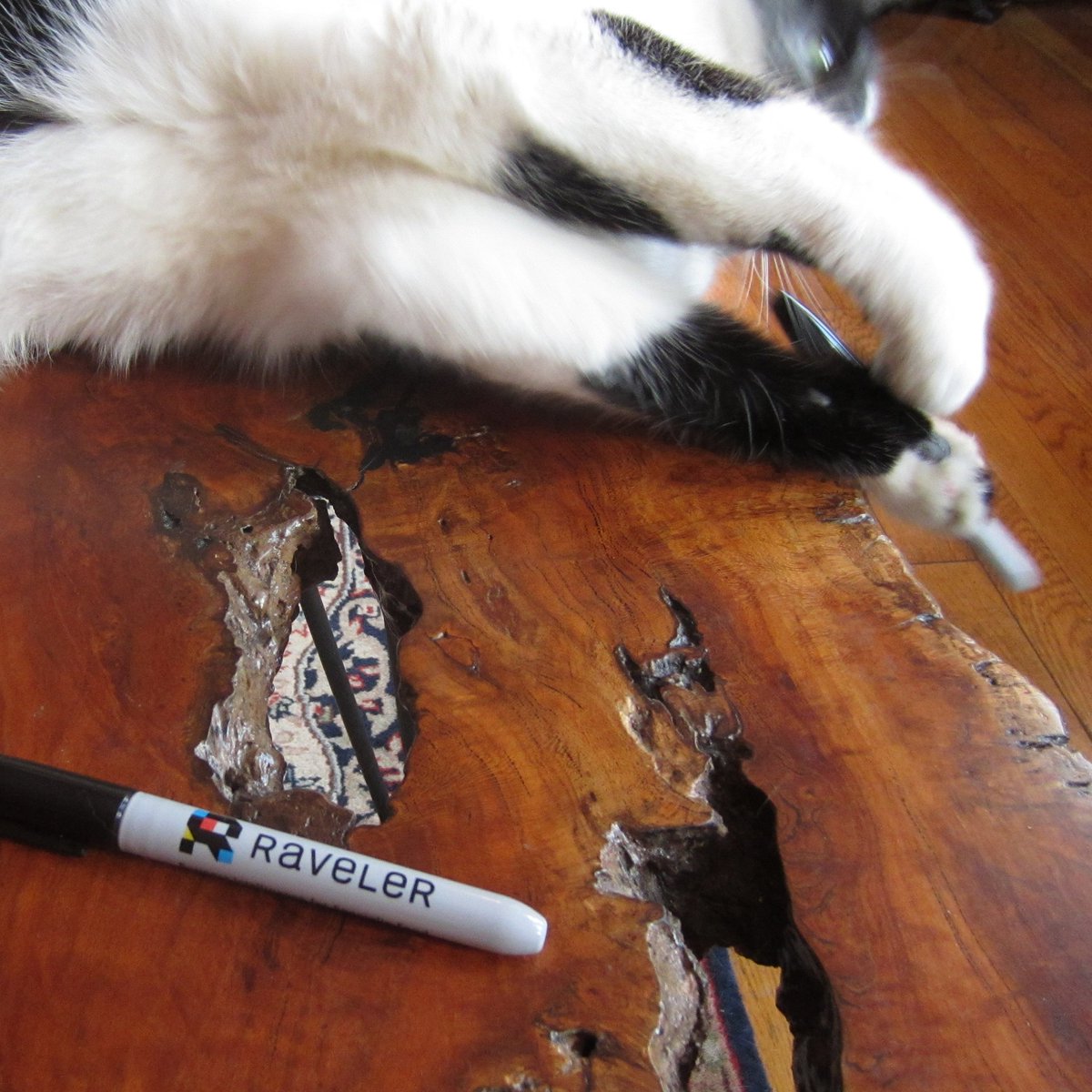 Our swag for #coffeeexpo2019 came in! We are committed to only offering genuinely useful swag, and we're pretty sure 100% of people in specialty food use sharpies on the daily! Thank you Tiny Henry for helping with this photo shoot! #smallbiz #foodbizlife #swag