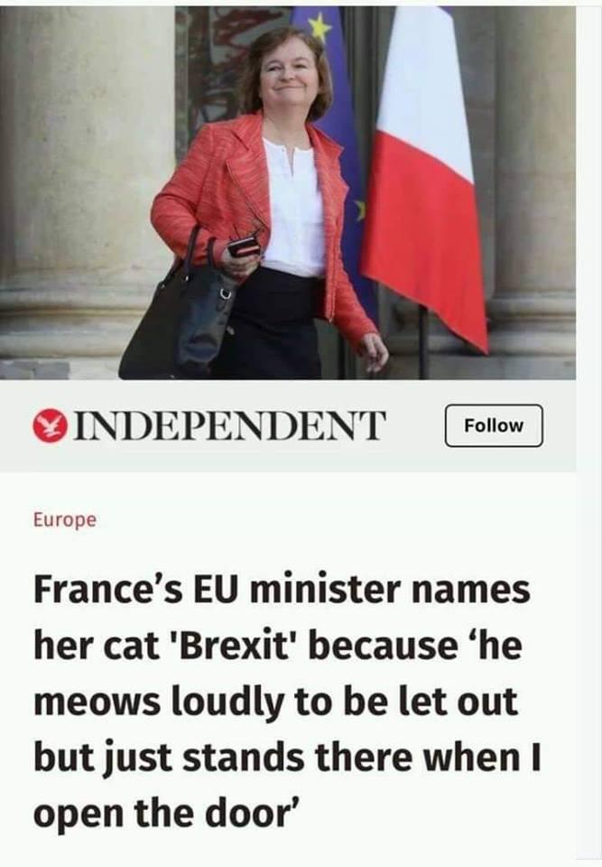 Emna Zghal (@emnazghal2) on Twitter photo 