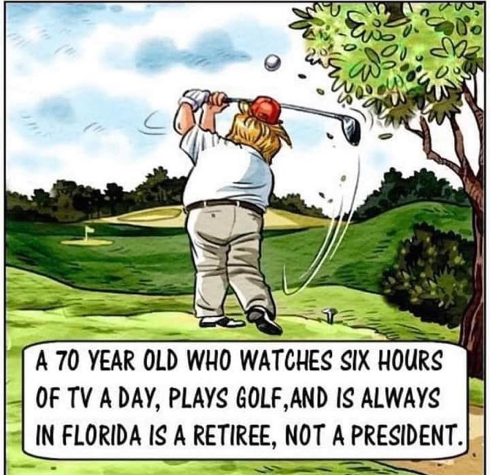 🌊Giggles, The Orange Pumpkin 😂 tweet media