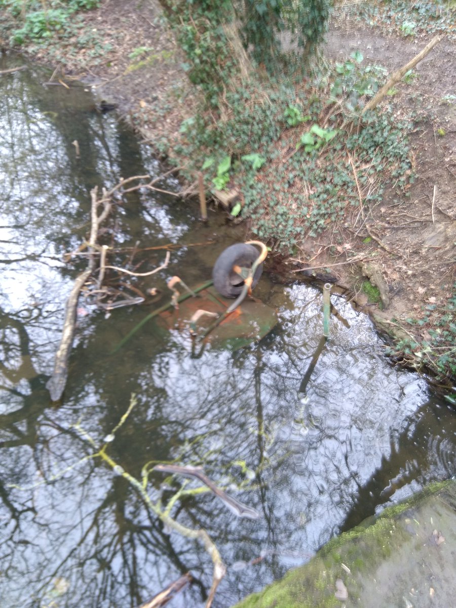 First morning cleaning one small bank of #BeverleyBrook at source at #Cuddington with my new @SE_Rivers_Trust kit. Not sure about the 3 rusting wheel barrows? <a href="/SuttonCouncil/">Sutton Council</a> ?