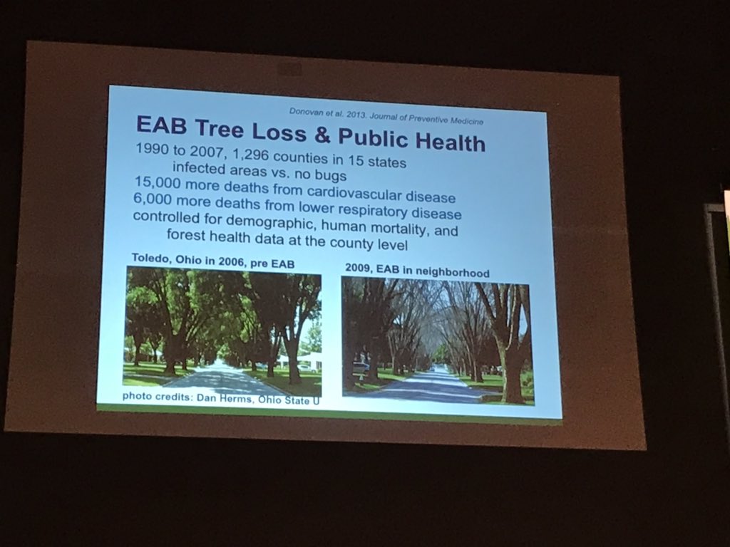 MinnesotaTrees's tweet photo. We’ll just leave these here...#Trees are health infrastructure #EAB @mnhealth #mnleg #mnstsc Thanks Dr. Wolf for your great work! https://t.co/6koYH0Ykth