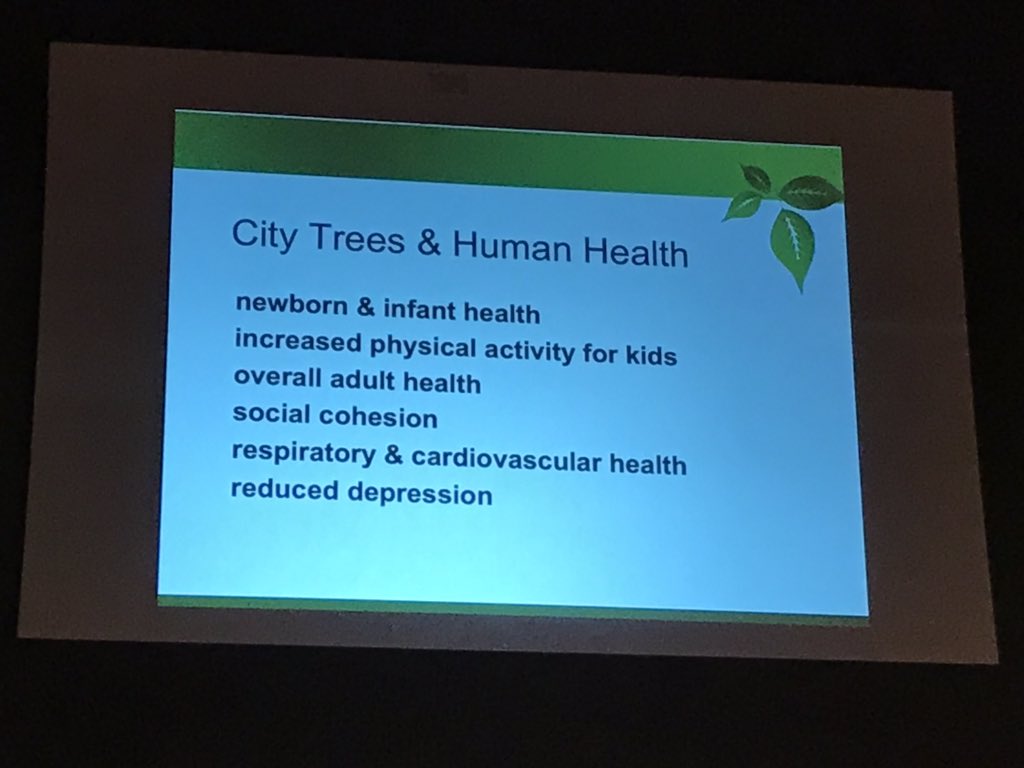MinnesotaTrees's tweet photo. We’ll just leave these here...#Trees are health infrastructure #EAB @mnhealth #mnleg #mnstsc Thanks Dr. Wolf for your great work! https://t.co/6koYH0Ykth