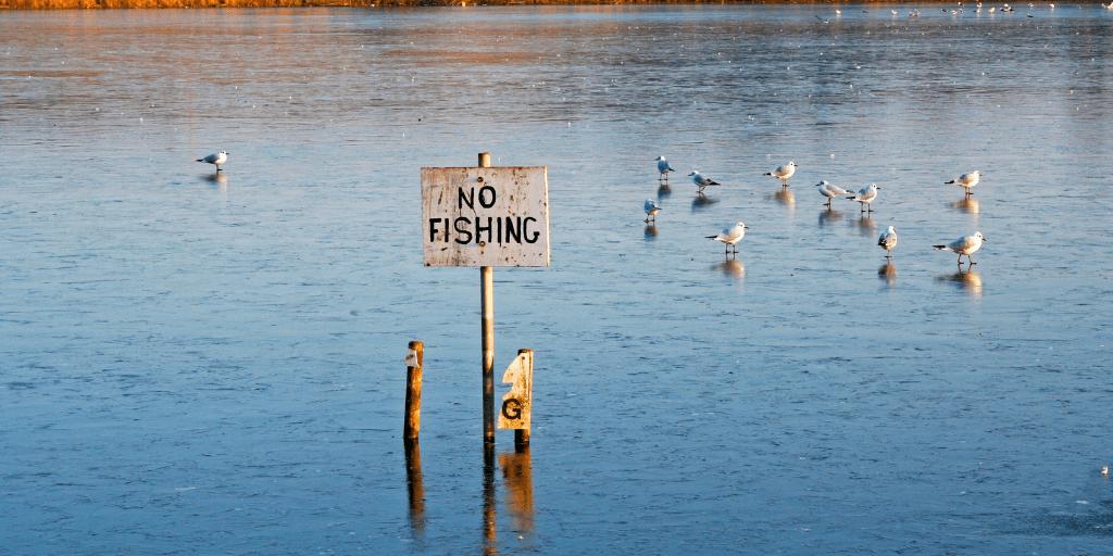 IdentityExperts's tweet photo. When it comes to #phishing, don't let your organisation take the bait. Pun fully intended. Read all about it on our blog: https://t.co/S9VB0ebf2C https://t.co/evGix3a67U