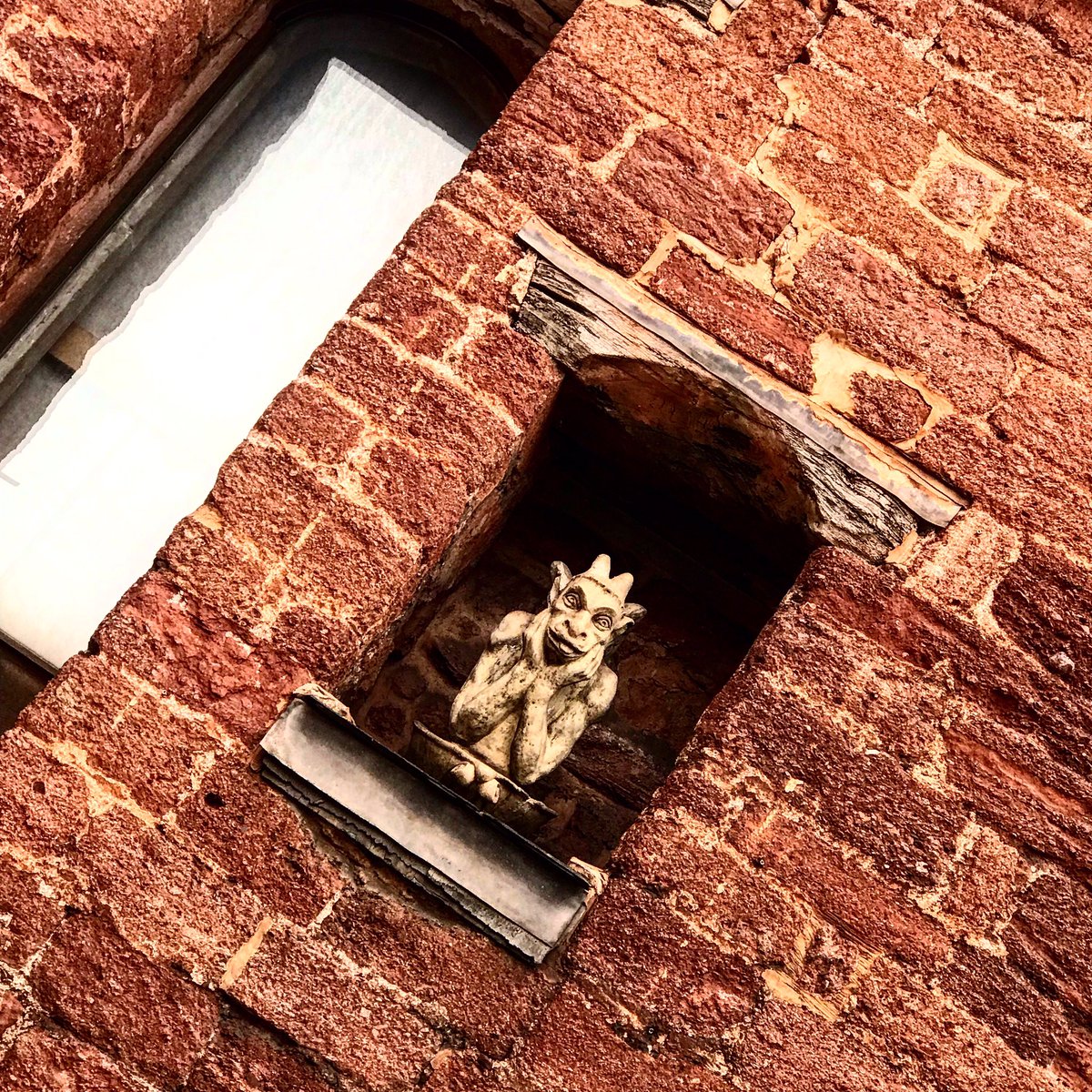 Mr_John_Harvey_'s tweet photo. What you looking at?
#HiddenExeter
https://t.co/I5YcKM8teS https://t.co/dtS6eNBC7K