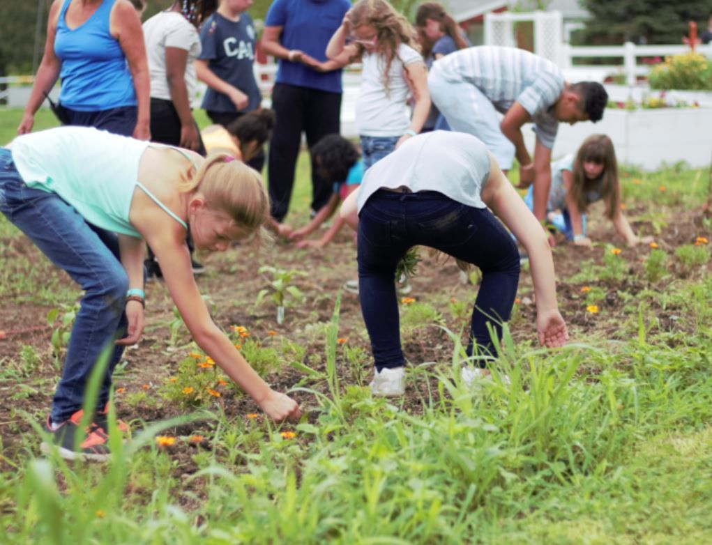 As of today it is officially springtime. The launch of spring means summer is close around the corner (even if it doesn't quite feel like that yet!) If you know someone looking for a summer job that is all about making an impact on others please send them our way!