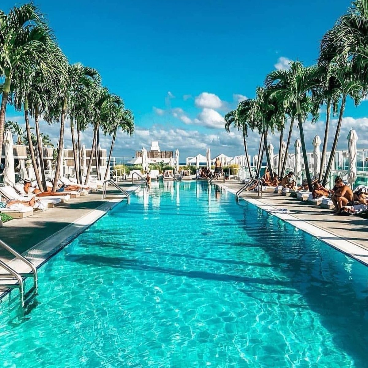 CTGTravelLLC's tweet photo. Views like this are meant to be taken in deeply and with a long stare.
I cant wait to get to #Miami 
.
.
#SeeTheWorld #CTGTravel #travel #travelgram #photooftheday #pool #relax #vacation #CircleTheGlobe #WhereYouWantToBe https://t.co/c7JrvbOu3Q