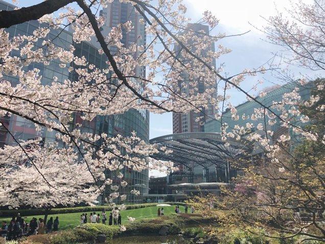 viewtabi's tweet photo. ＼目黒＆六本木でお花見しよ��／ 
東京の桜はもうすぐ開花！満開が待ち遠しいですね♪ 東京で桜さんぽをするなら、目黒川沿いや六本木周辺がおすすめ。夜桜も最高！
桜は、例年3月下旬～4月上旬が見頃。
→https://t.co/R9LWY2zGqJ

#桜 #花見 #目黒川 #目黒 #六本木 #東京 https://t.co/eWuUwvkSvb