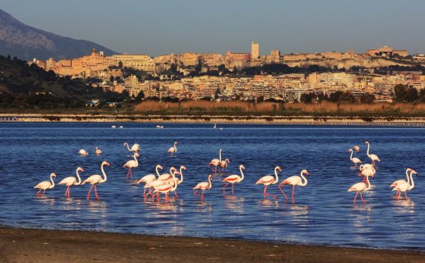 Easter #Sardinia | Discover its ancient traditions hubs.ly/H0g-Wgw0 #weekend #holidays #italy