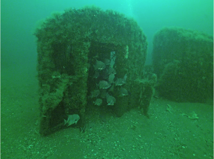 NYNJBaykeeper's tweet photo. Ever wonder what happens to NYC’s subway cars after they are taken out of service? Since 2001, the Metropolitan Transit Authority has dropped 2,580 cars into the Atlantic Ocean off the coasts of NJ and several other states to become artificial reefs!

#nynjbaykeeper #reef #NYC https://t.co/JFCD7W7BEf
