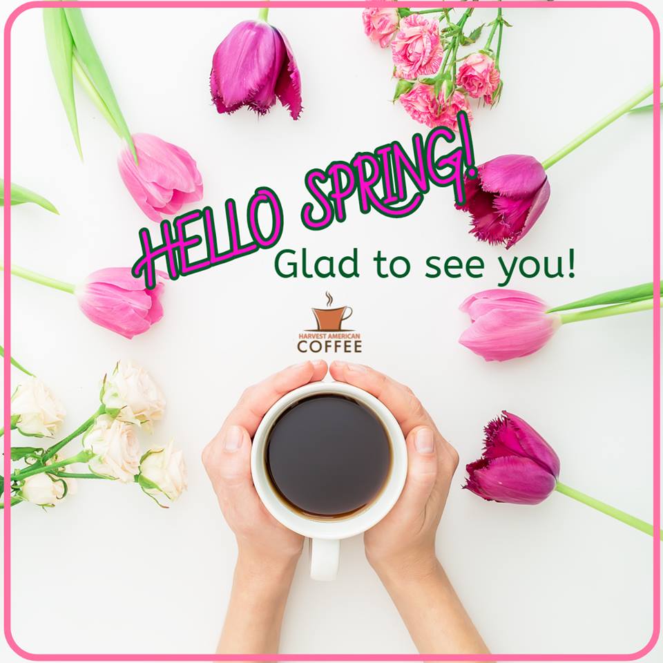 Happy 1st day of SPRING! 💐🌹🌺🌷🌾🌸