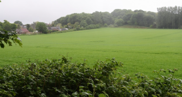 Costessey Council tweet media