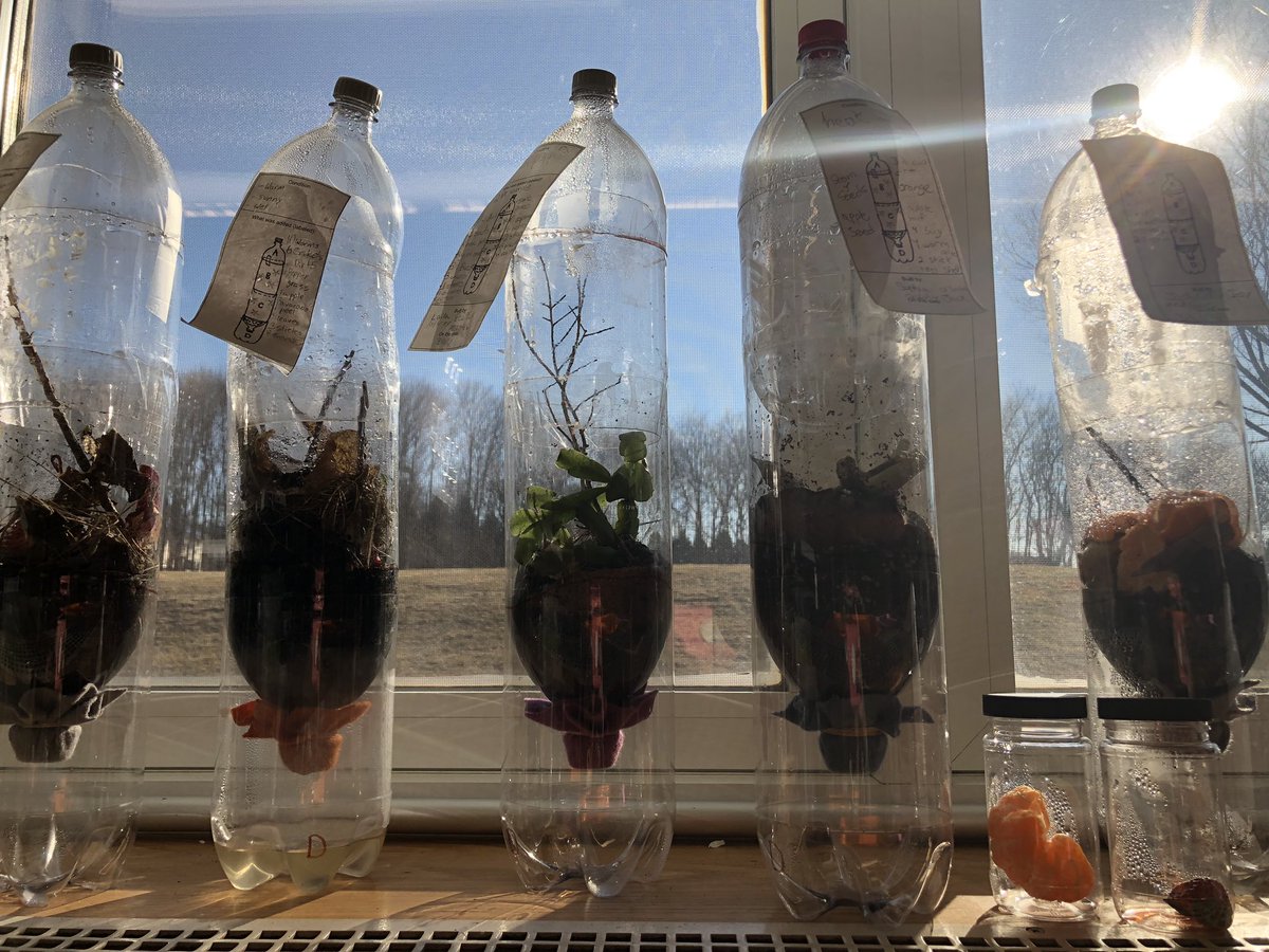 MathCoachJen's tweet photo. Students making sure they have a fair test!  Come check out these containers during conferences! #ctreg14 #NGSS  #imamazed #theyareamazed #lightbulbmoments #grade5 https://t.co/GWzG0899Uv