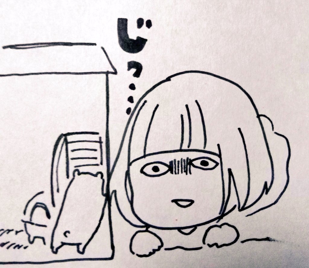 ハムスターを飼うまで、ここ数年どうやって心を癒していたか全く思い出せないd=(^o^)=bンンッ 