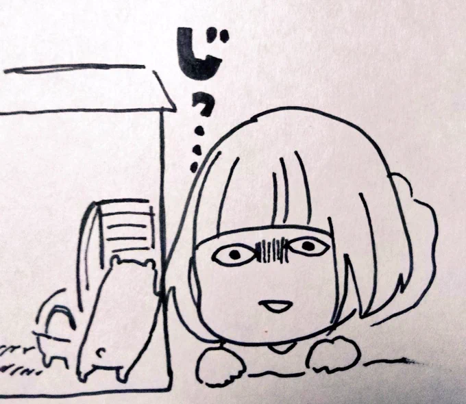 ハムスターを飼うまで、ここ数年どうやって心を癒していたか全く思い出せないd=(^o^)=bンンッ 