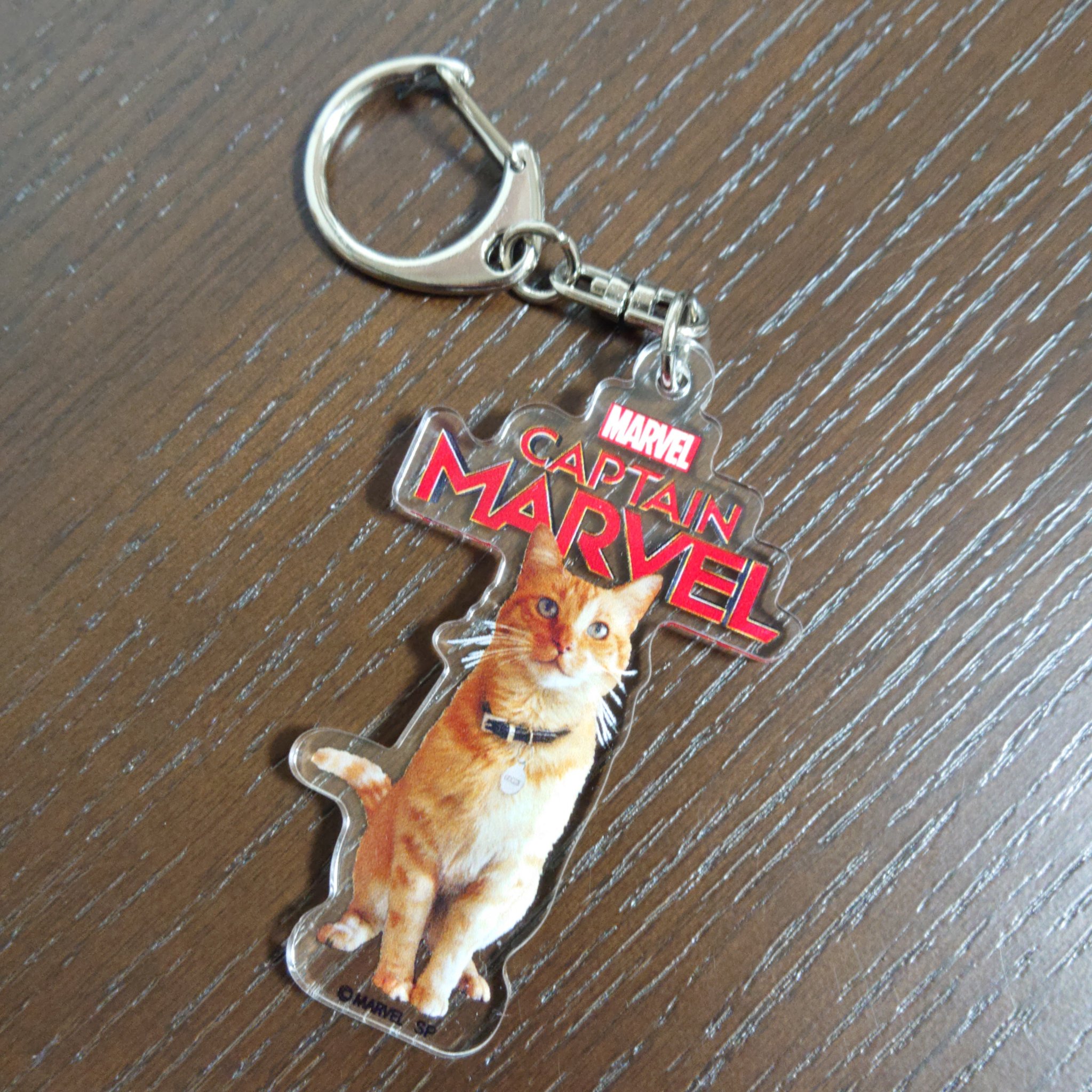 今すぐ観たい 猫たちが活躍する映画4本 画像 猫よっといで 動物みんなよっといで Come On Catsandanimals 今すぐ観たい 猫たちが活躍する映画4本 画像 猫よっといで 動物みんなよっといで Come On Catsandanimals