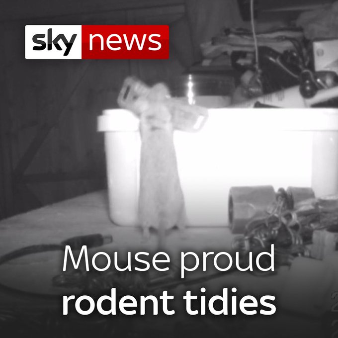 Ενσωματωμένο βίντεο