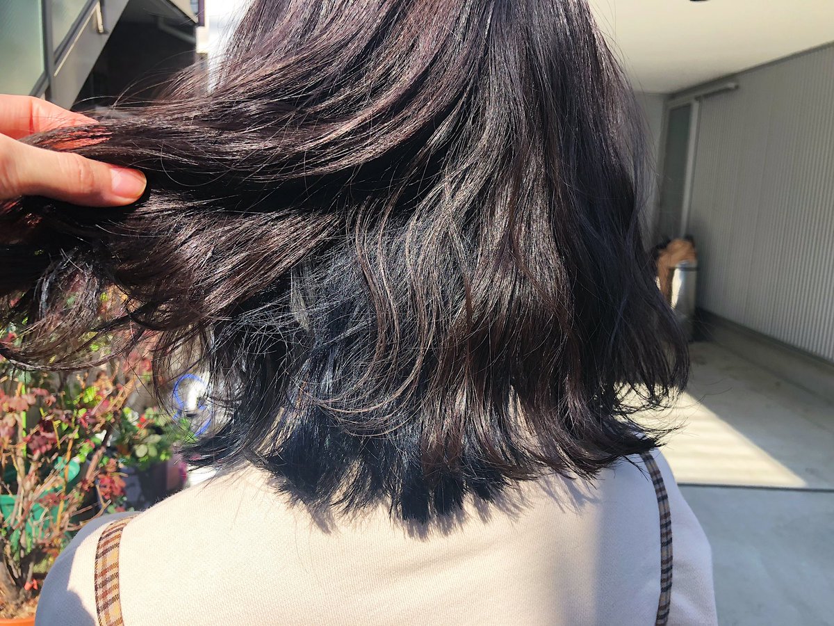 ゆーたまる On Twitter Color Work 人生初カラー 黒髪からの大変身 表面はブリーチなしの アッシュカラー インナー はワンブリーチして ブルーカラー インナーカラー アッシュ 髪色青
