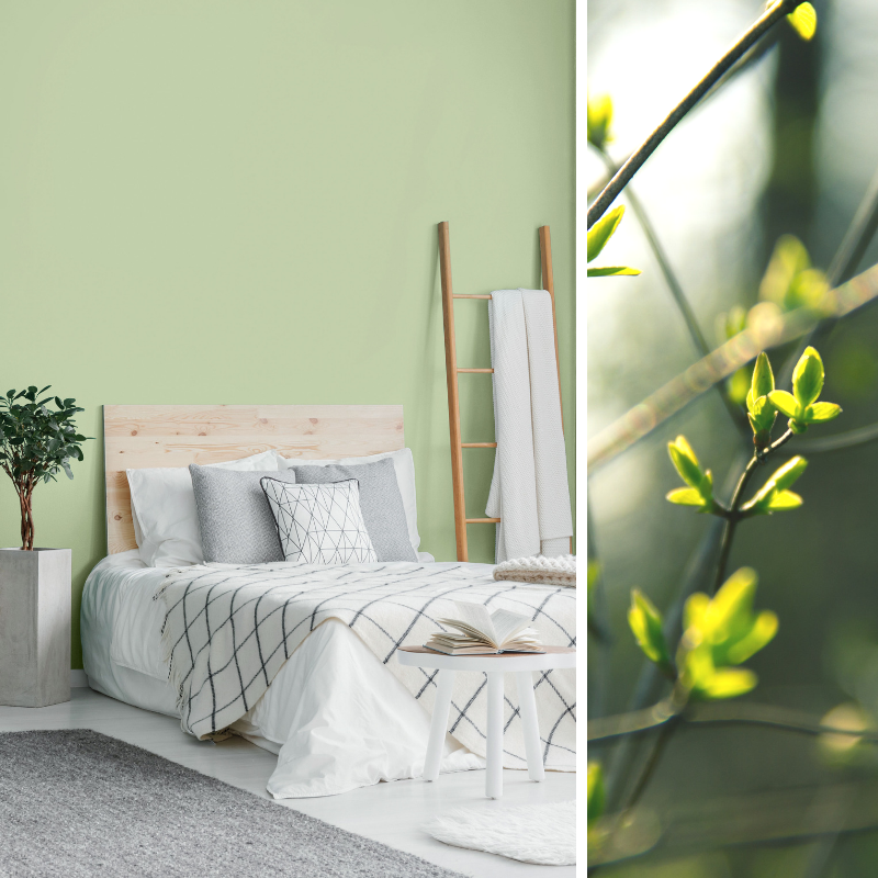 PARAPaints's tweet photo. Regrowth, rejuvenation, and renewal. Welcoming the first day of Spring with 'Enchanted' (321C), one of our 2019 Colours of the Year. https://t.co/h5EDUmA3he