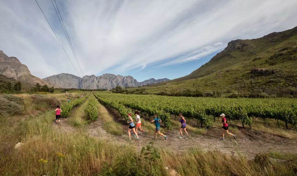 The @janbraai Marathon is a three-day trail run in the @BreedekloofWine Valley with picturesque views, trails, and delicious food and wine. See why you should sign up now to take part from 18 to 20 October: visitwinelands.co.za/blog/2019/run-…