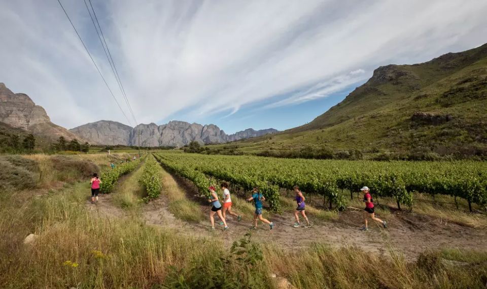 The <a href="/janbraai/">Jan Braai</a> Marathon is a three-day trail run in the <a href="/BreedekloofWine/">Breedekloof Wine Valley</a> Valley with picturesque views, trails, and delicious food and wine.

See why you should sign up now to take part from 18 to 20 October: visitwinelands.co.za/blog/2019/run-…